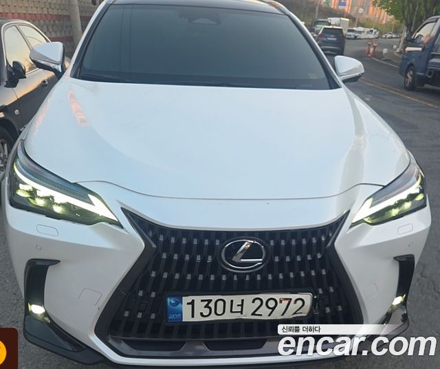 Lexus NX 2023