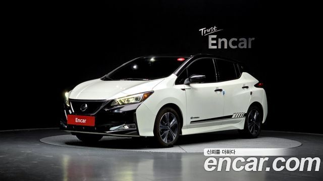 Nissan Leaf 2019