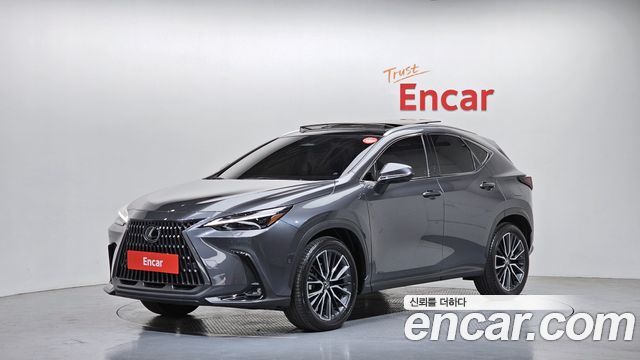 Lexus NX 2025
