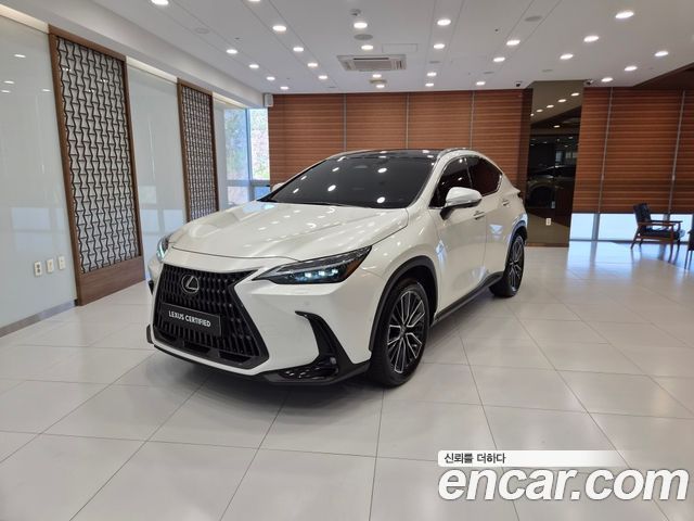 Lexus NX 2024