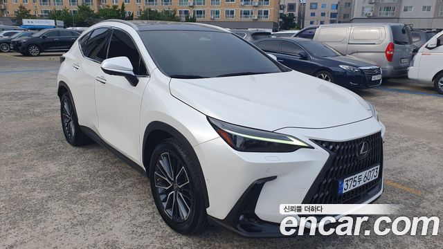 Lexus NX 2023