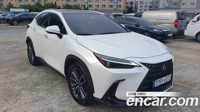 Lexus NX 2023