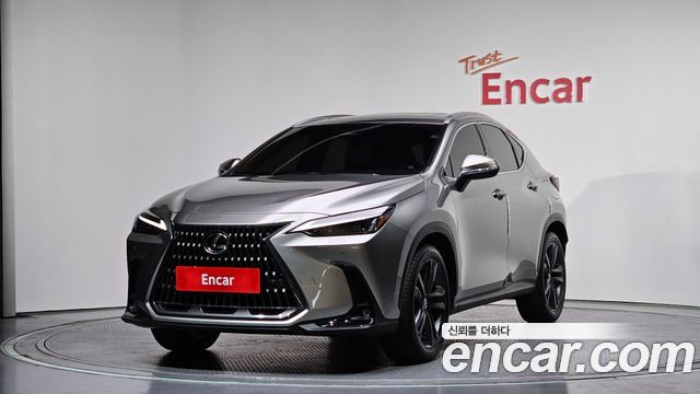 Lexus NX 2025