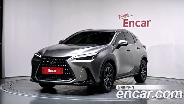Lexus NX 2023