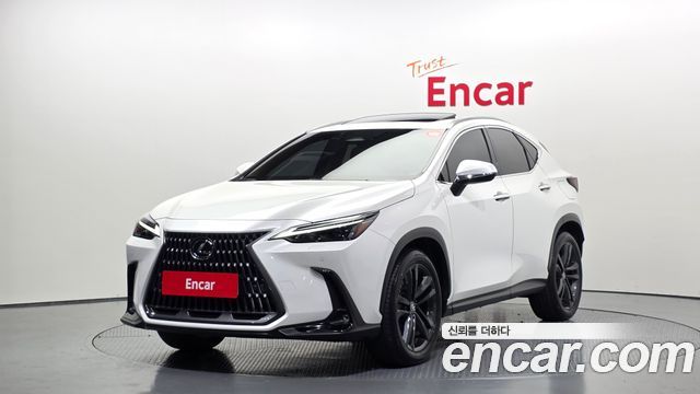 Lexus NX 2023