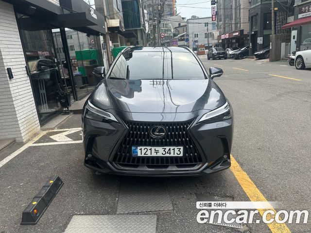 Lexus NX 2024