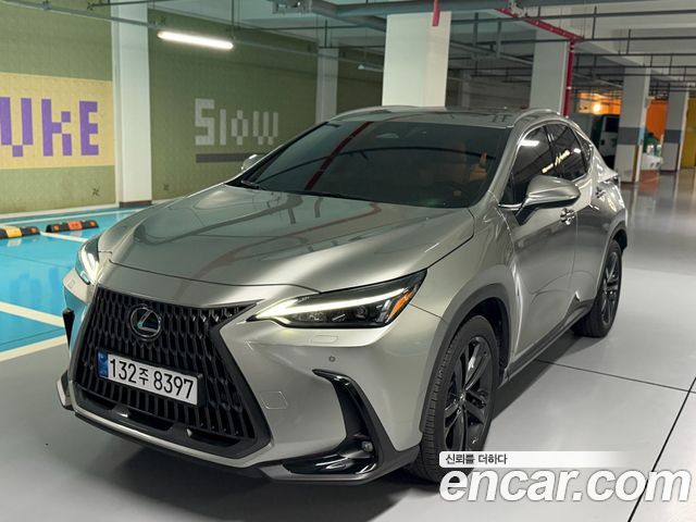 Lexus NX 2024
