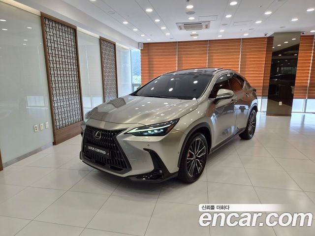 Lexus NX 2023