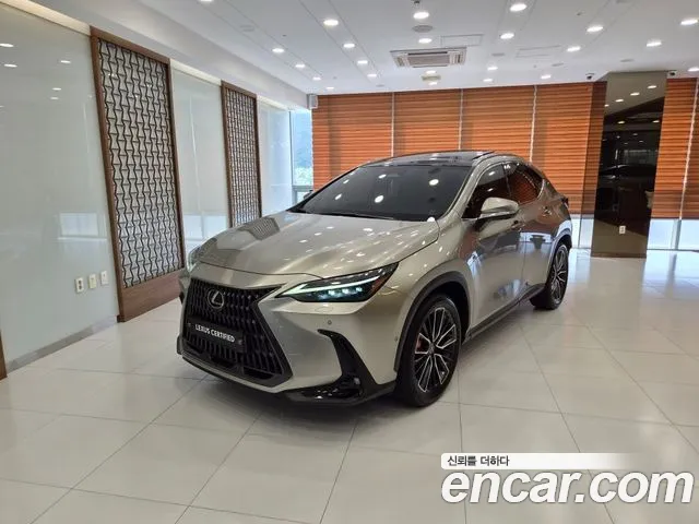 Lexus NX 2023