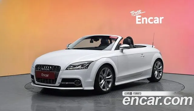 Audi TTS 2010