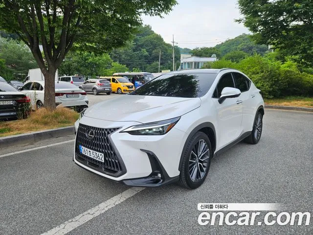 Lexus NX 2024