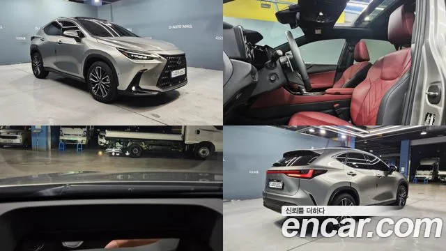 Lexus NX 2024