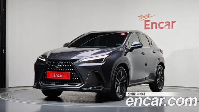 Lexus NX 2023