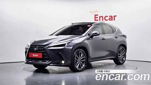 Lexus NX 2023