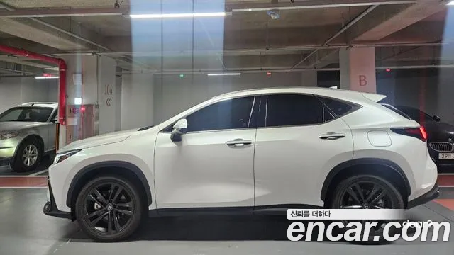 Lexus NX 2025