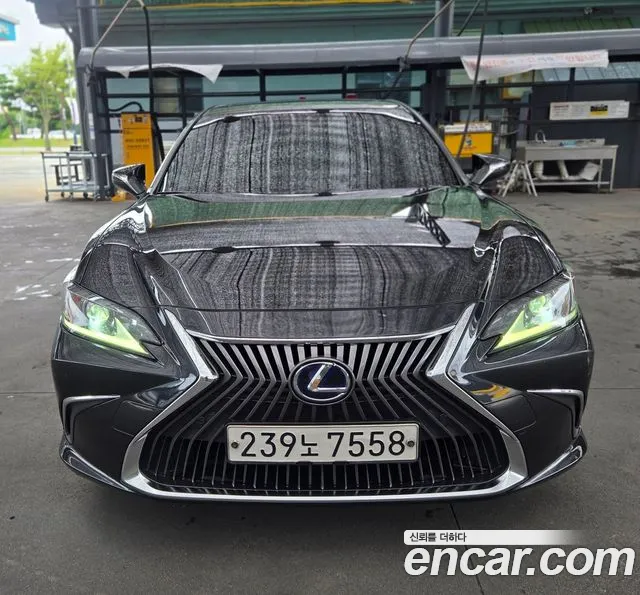 Lexus ES 2019