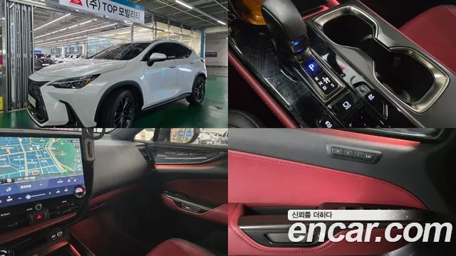 Lexus NX 2025