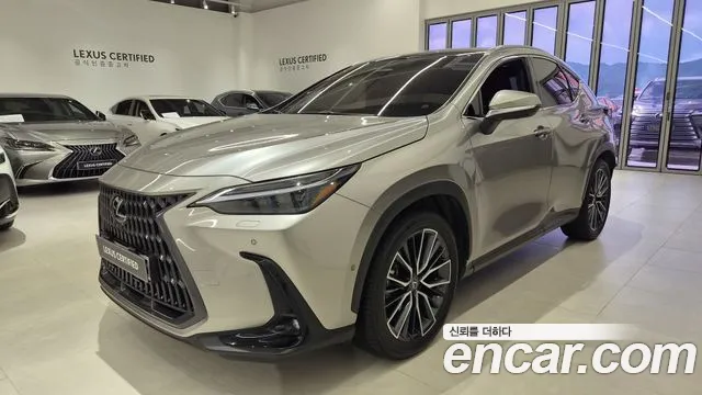 Lexus NX 2025