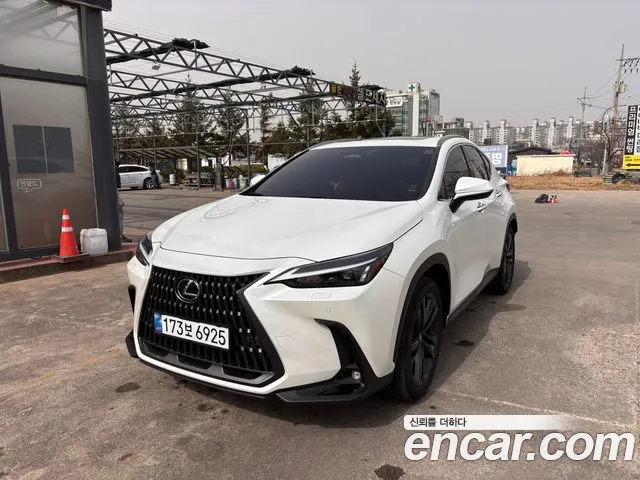 Lexus NX 2024