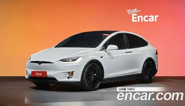 Tesla Model X 2019