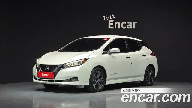 Nissan Leaf 2019