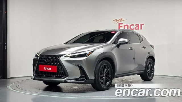 Lexus NX 2023