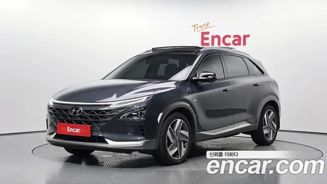 Hyundai 넥쏘 2020