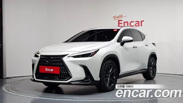 Lexus NX 2023