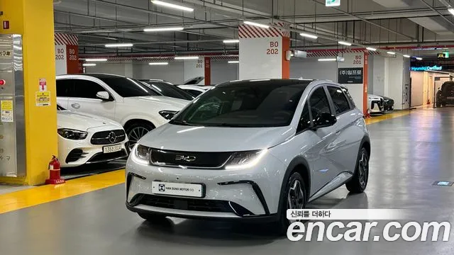 BYD Dolphin 2026