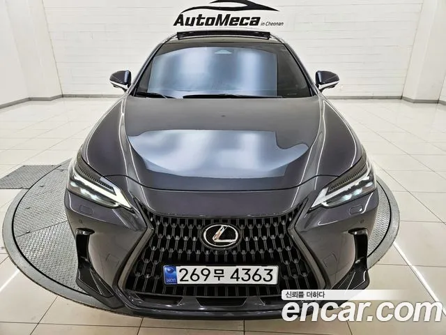Lexus NX 2024