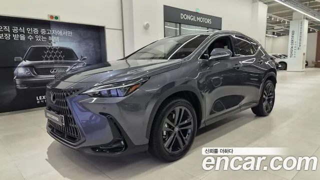 Lexus NX 2025