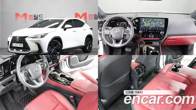 Lexus NX 2025