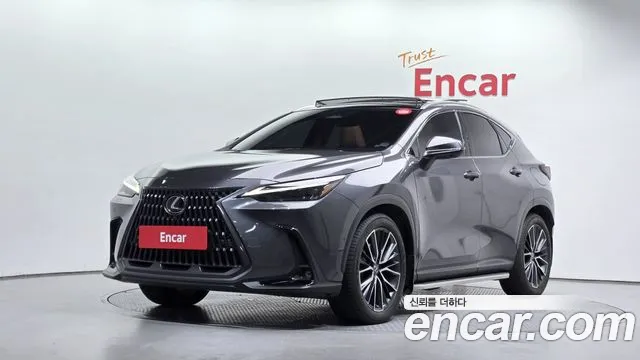 Lexus NX 2023