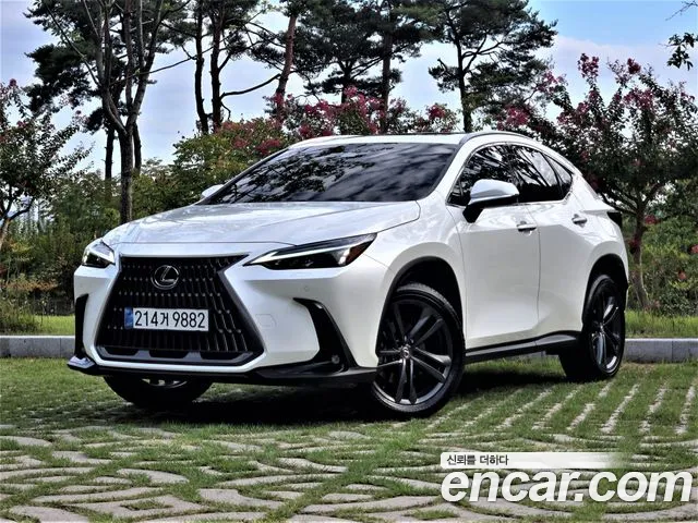 Lexus NX 2025