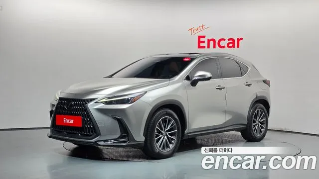 Lexus NX 2023