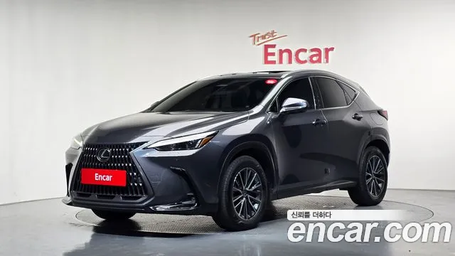 Lexus NX 2023