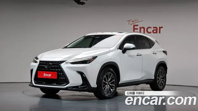 Lexus NX 2022