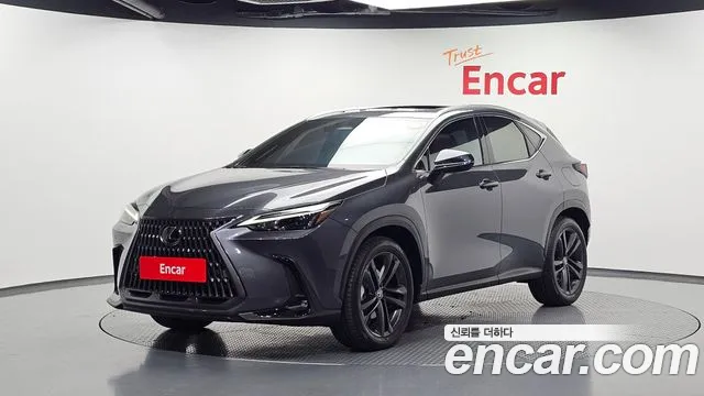 Lexus NX 2025