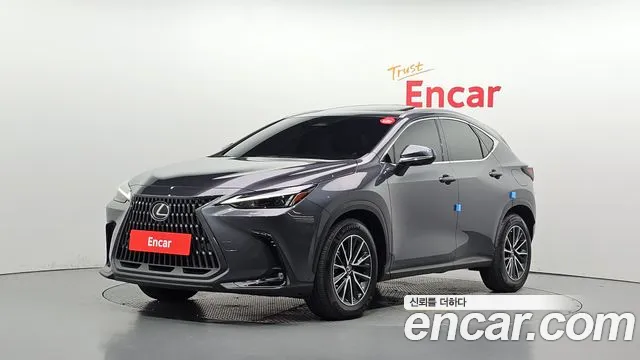 Lexus NX 2022