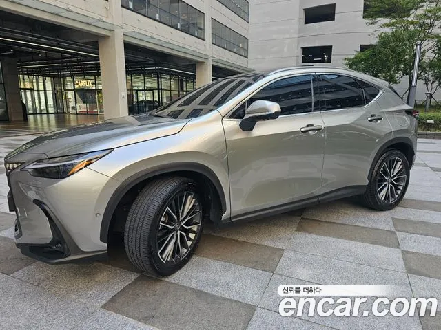 Lexus NX 2025