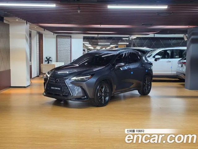 Lexus NX 2024