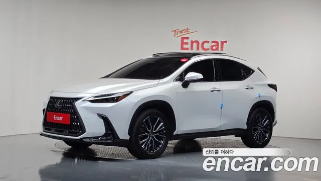 Lexus NX 2025